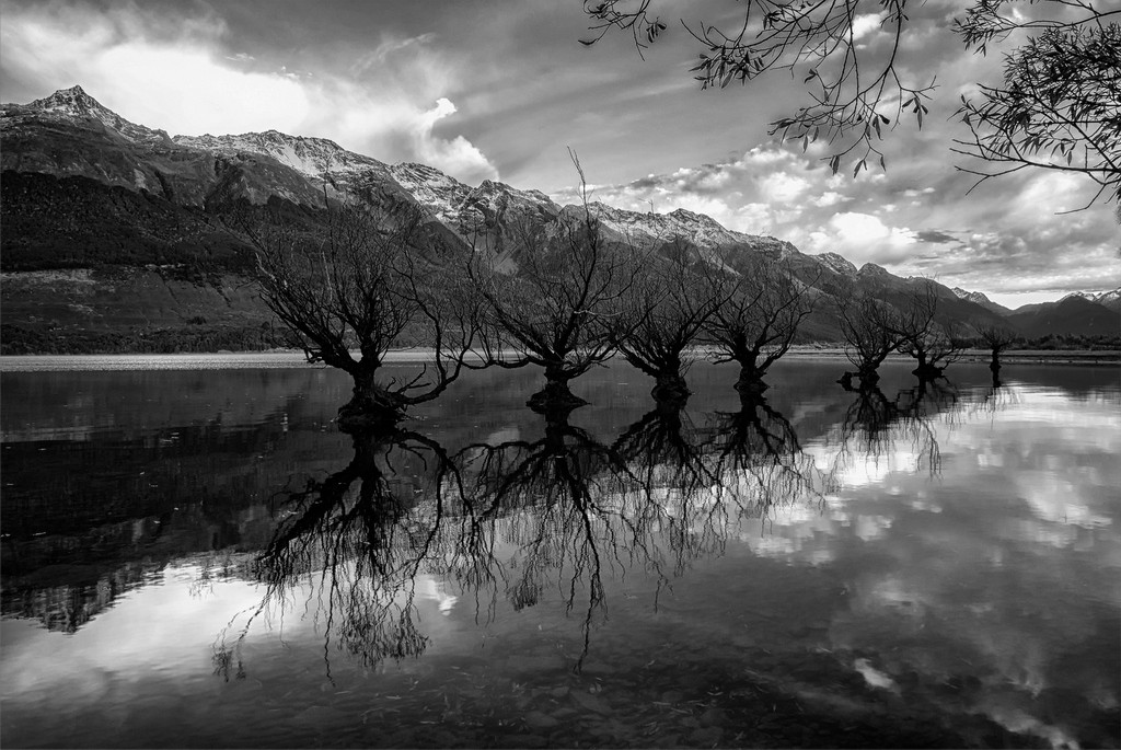 HIGHLY COMMENDED.....Cecily Jones